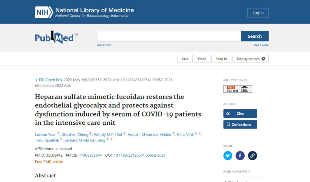 Heparan sulfate mimetic fucoidan restores the endothelial glycocalyx